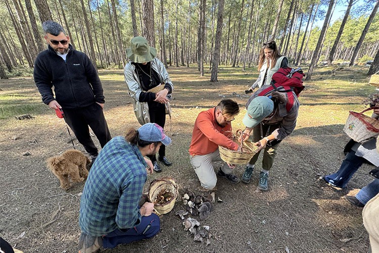 Mantar meraklıları Antalya'da buluştu