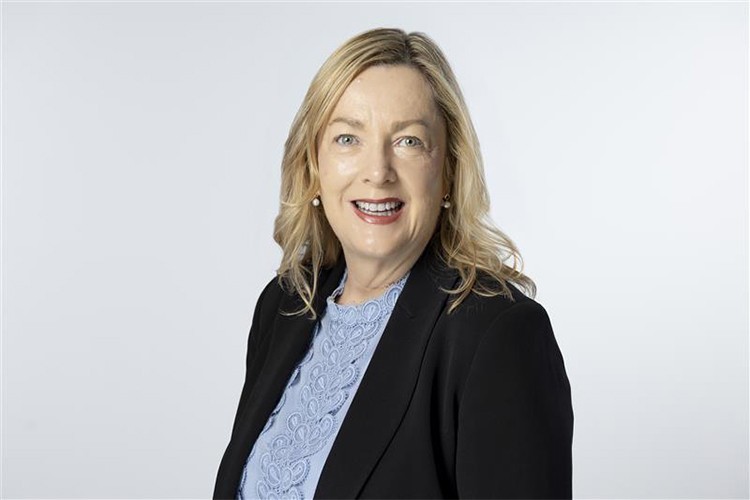 Yıldız Ventures'ın desteklediği pladis Hızlandırma Programı başlıyor