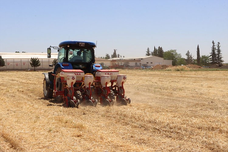Şanlıurfa'da anıza mısır ekimi yapıldı