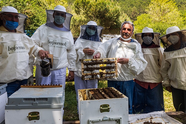 Dünya Arı Günü'nde Balparmak Yönetim Kurulu Başkanı Özen Altıparmak'tan çağrı