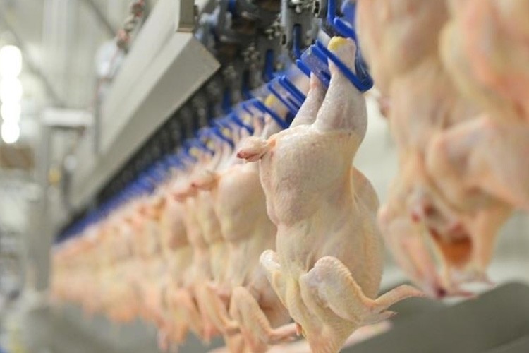 Tavuk eti üretimi martta aylık yüzde 1,6, yıllık yüzde 2,7 arttı