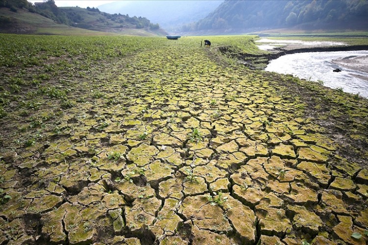 Türkiye'de İklim Değişikliği Algısı Raporu Yayınlandı