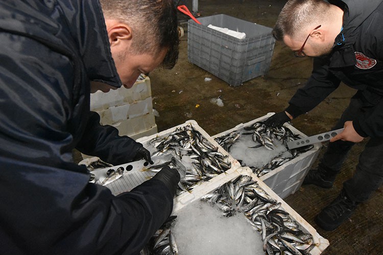 5 günde yaklaşık 10 bin denetim yapıldı