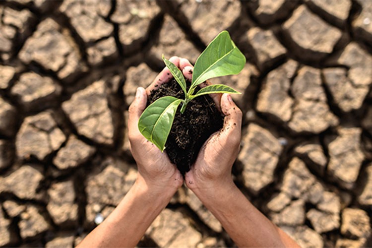 Ölümcül hava olayları iklim değişikliğiyle daha şiddetli hale geldi