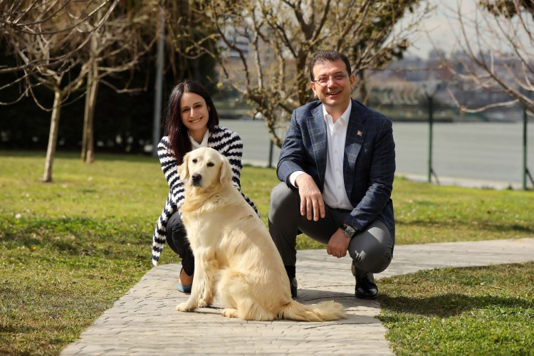 Sahipsiz Köpekler İçin Birlikte Harekete Geçelim