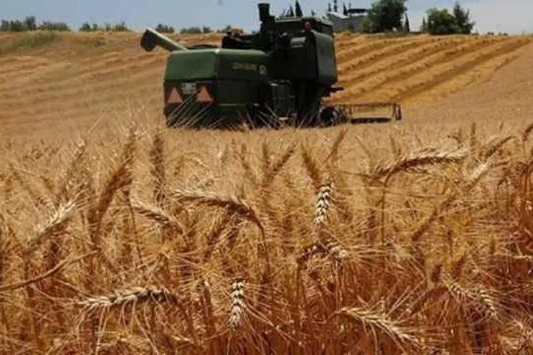 Tarımsal girdi fiyatları yüzde 8.2 arttı