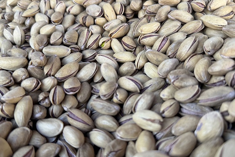 Türkiye'nin 9 aylık fıstık ihracatı 152 milyon 622 bin dolar oldu