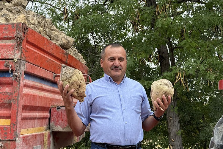 Burdur'da yaklaşık 75 bin ton kristal şeker üretilecek
