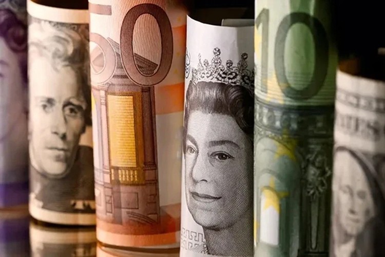 Reel efektif döviz kuru endeksi mayısta 105,55 oldu