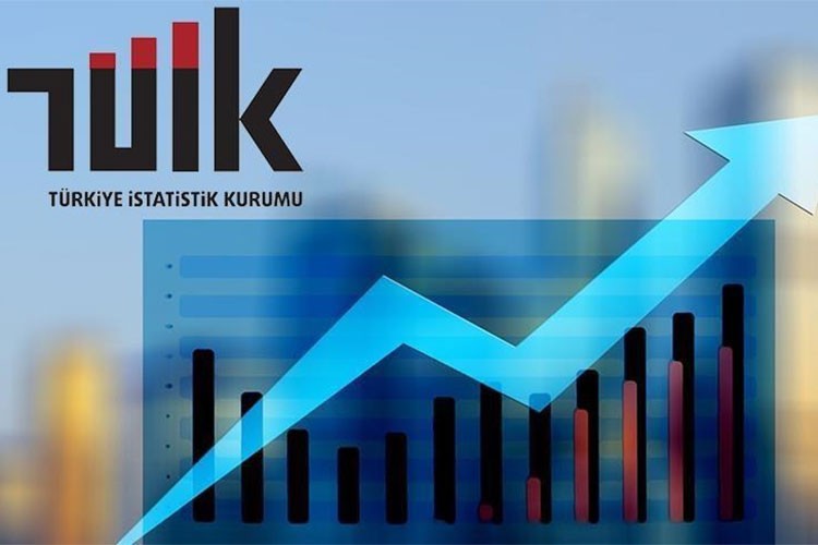 TÜİK, "grid" detayında eğitim istatistiklerini paylaşıma açtı