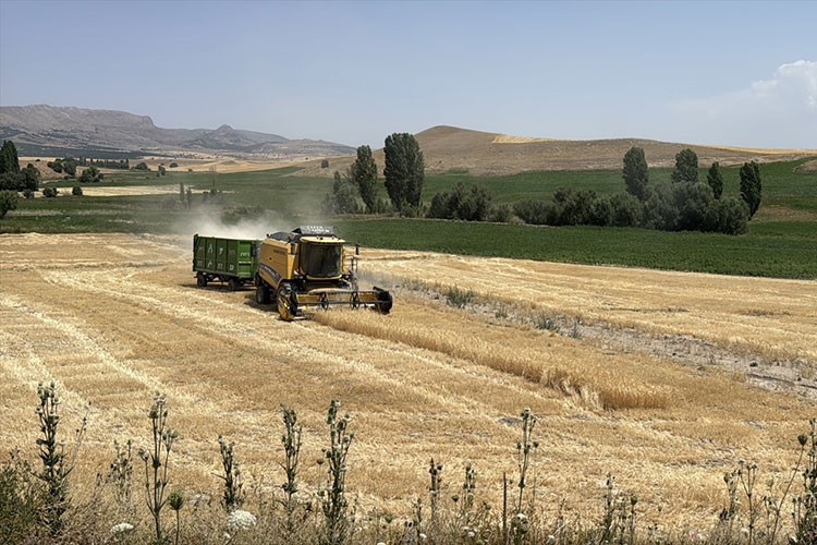 Kayseri'de üretici sayısı 32 bine ulaştı