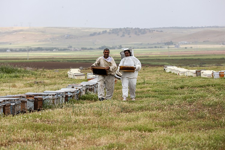 Yaylaları gezerek 20 yıldır bal üretiyor