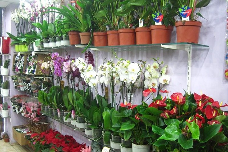 Çiçekçilik "4. seviye meslek" olarak belgelendi