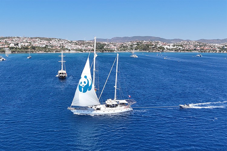 Blue Panda yelkenlisi Türkiye'ye veda etti