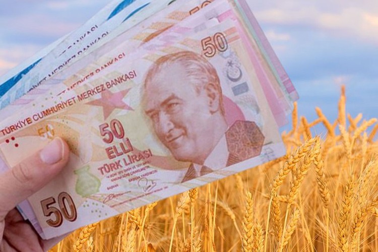 Buğday ve arpa alım fiyatları üreticiyi memnun etti