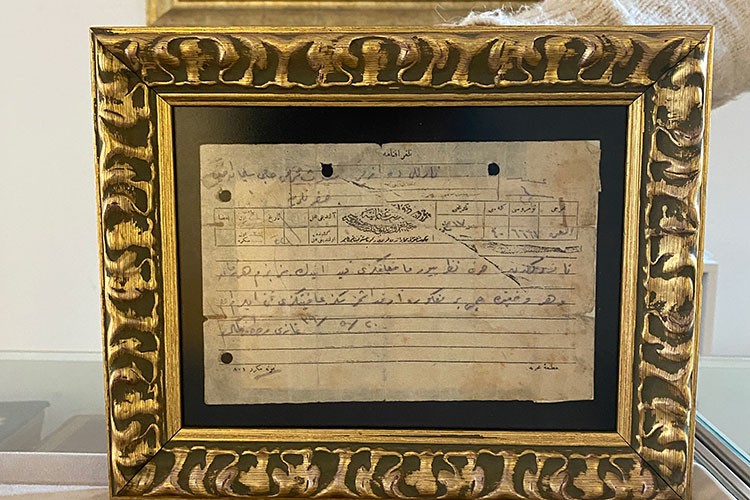 Nadir vesikalar geçidi