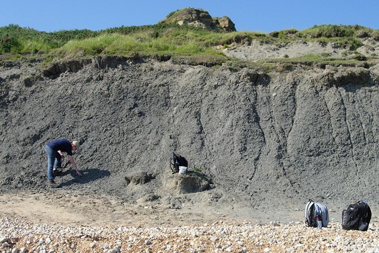 Kil ihracı izne bağlandı