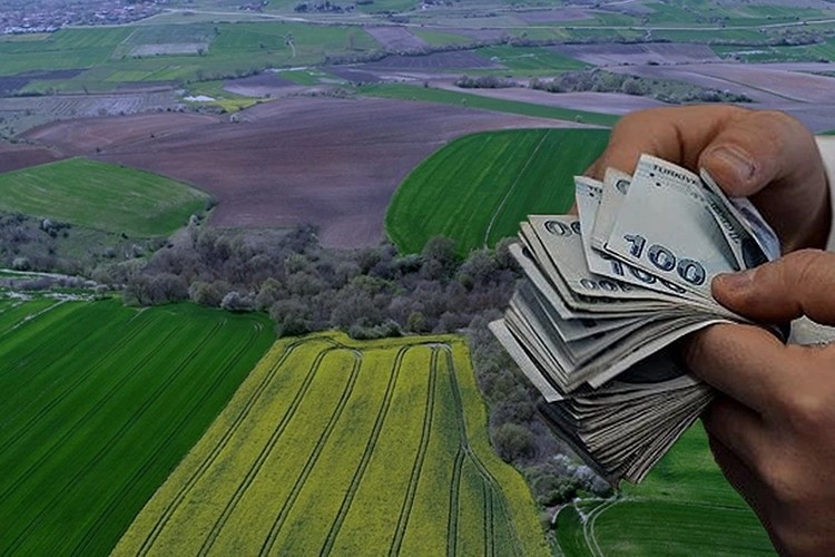 Arsa ve tarla satışları 2025'te 1,6 milyonu aştı