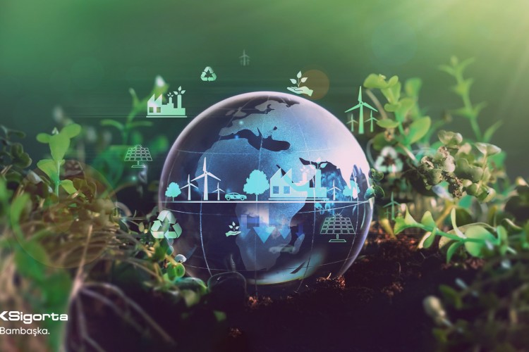 Aksigorta, TCFD Raporu'nu Yayınladı