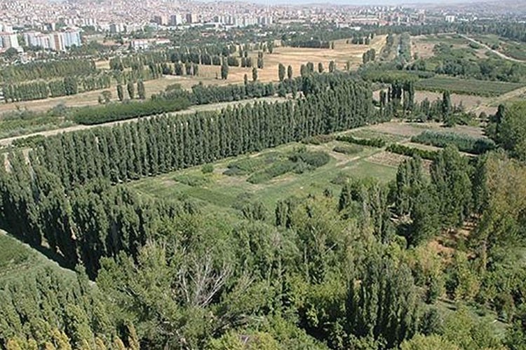 Atatürk Orman Çiftliğinin park alanı kiralanacak