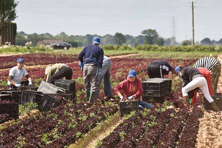 AB, çalışanların koşullarını iyileştiriyor