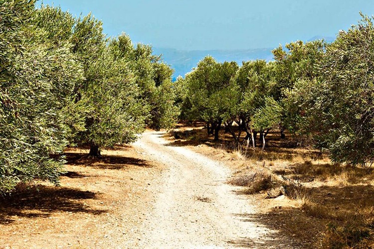Yeni bir turizm anlayışı