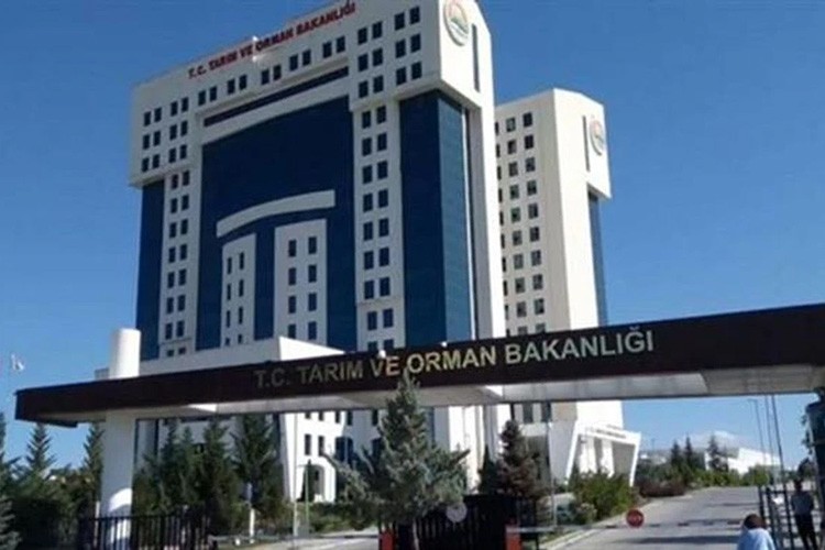 Sağlığa zararlı gıdalar listesine yeni ürünler eklendi