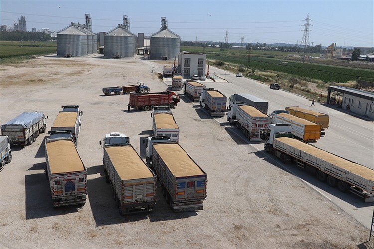 Çukurova'da çiftçiler, TMO'nun lisanslı depolarına yöneldi