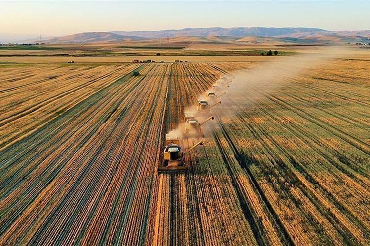 Tarım ÜFE yüzde 3,83, yıllık yüzde 76,35 arttı