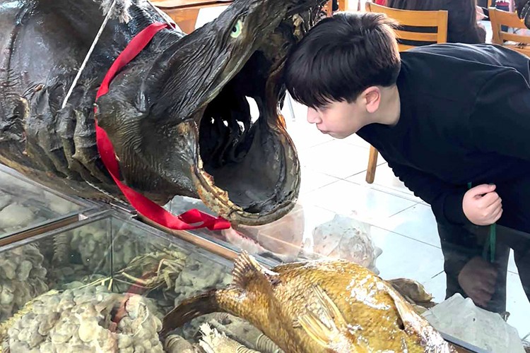 Deniz Canlıları Müzesi öğrencilerle doldu taştı