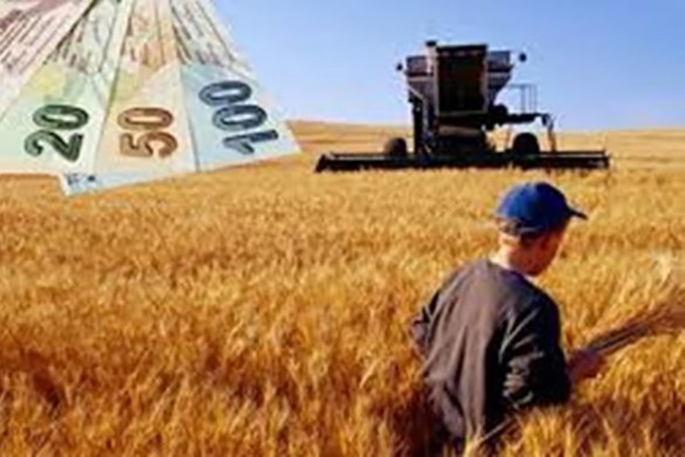 Çiftçilere bu yıl için ödenecek tarımsal destekler belirlendi