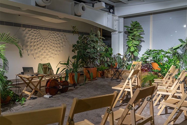 Bitkiler ve Bitkileri Sevenler için Sıcak Toprak Sesleri