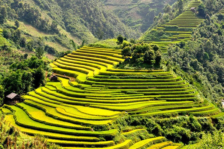 Vietnam: Sapa Dağları'na tren ile yolculuk