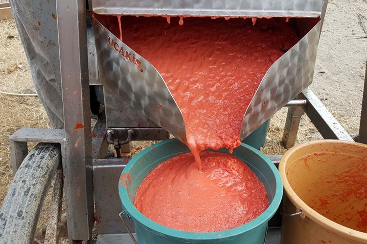 Salça fabrikası satılacak