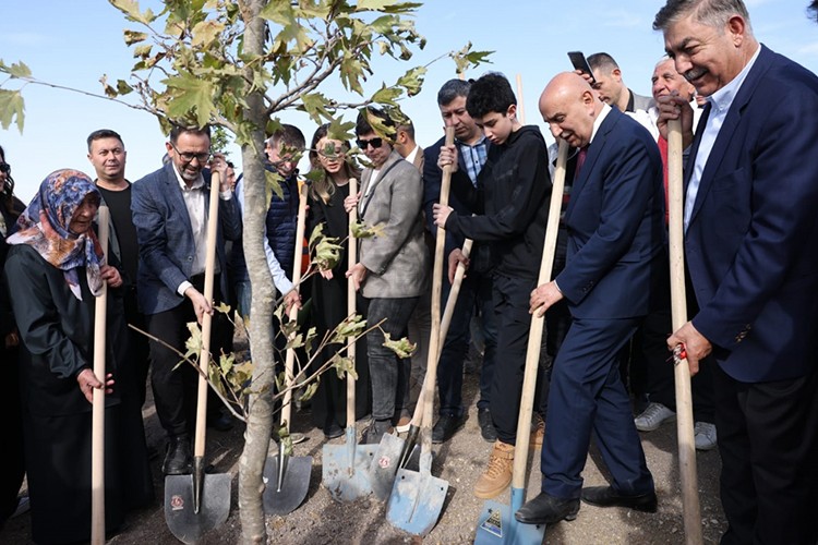 3 binin üzerinde fidan dikildi