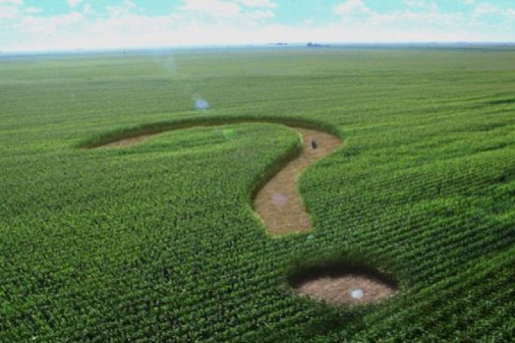 Tarım sektörü elektrik bedelinde pozitif ayrımcılık bekliyor