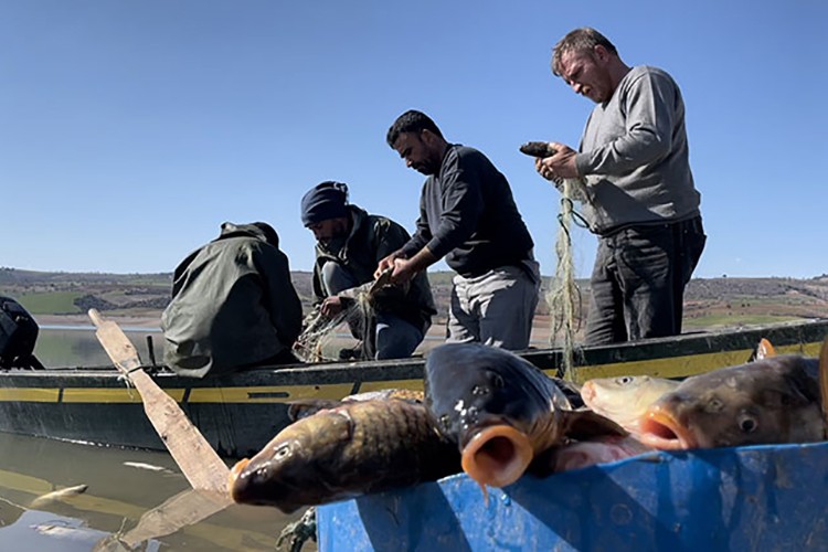 Depremzede balıkçılar sağlanacak destekler belirlendi