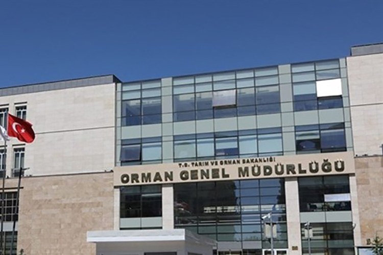 Orman emvali veya odun dışı ürünleriyle ilgili düzenleme