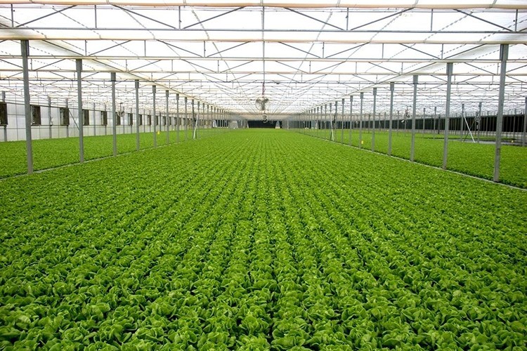 Kayseri'ye TDİSOB müjdesini verdi