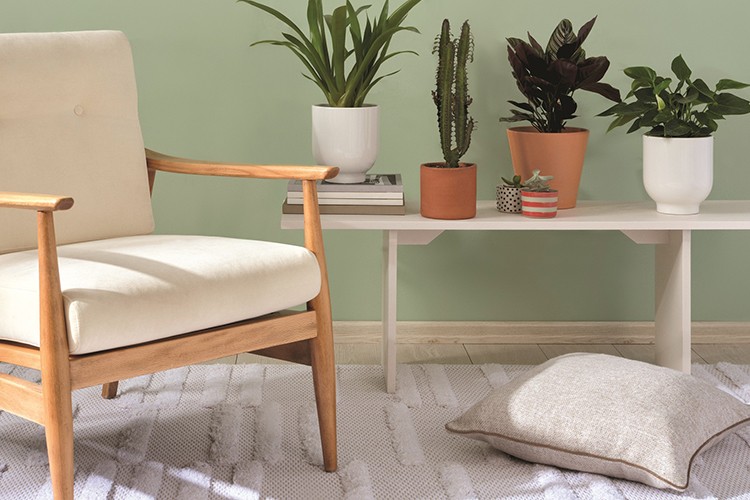 Artık evinizin tasarımcısı sizsiniz!