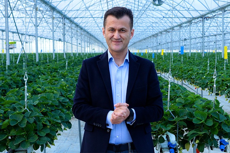 Çilek serası yılda 450 ton çilek üretim kapasitesine ulaştı