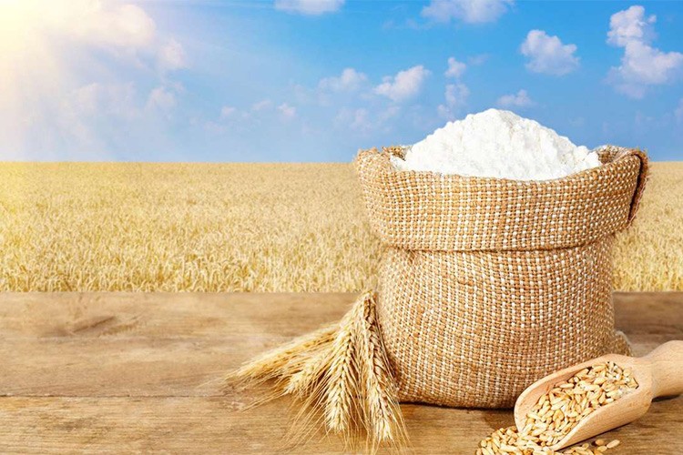 Un sektörü temsilcileri, Antalya'da buluşacak