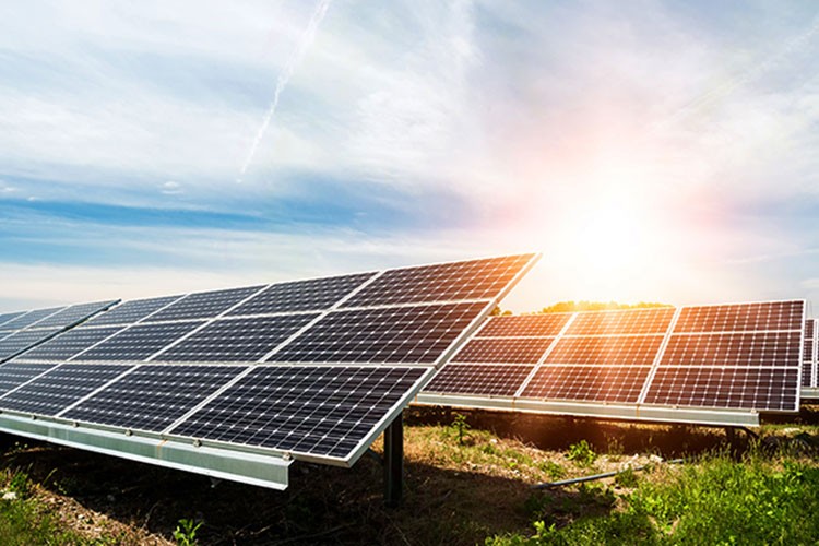 Yenilenebilir enerjideki büyümeye güneş liderlik ediyor