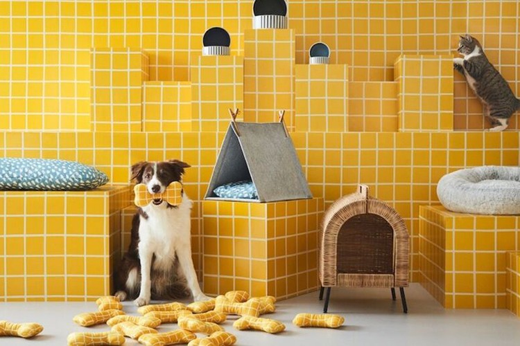 Kasımda en çok evcil hayvan ürünlerinin fiyatı arttı