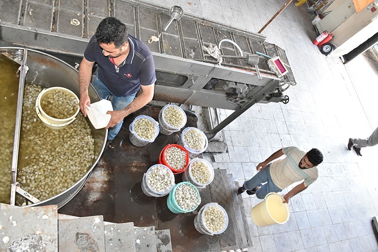 60 bin ton bekleniyor