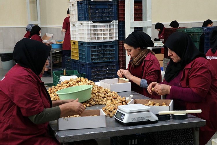 İthalatçının yüzü gülüyor