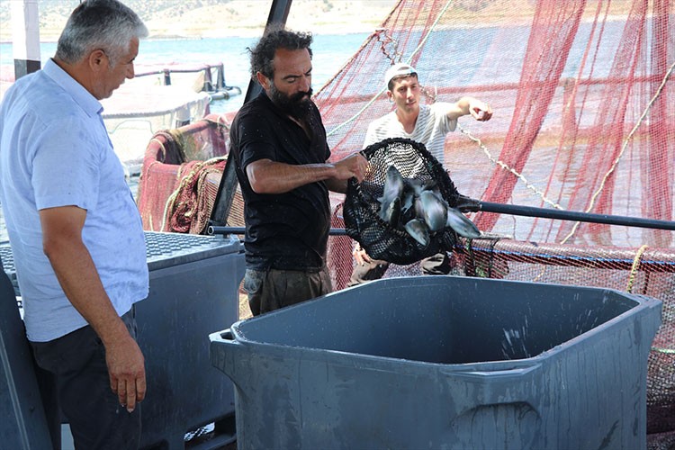 Yozgat'tan Avrupa'ya Türk somonu