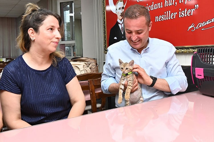 Yangından kurtarılan kedi yavrusu "Biber" sahibine teslim edildi