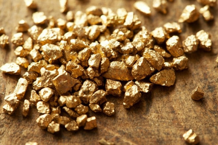 Altın madencileri, prosedürlerin kısalmasını talep etti