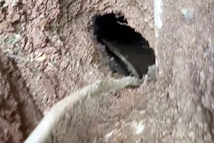 Dicle Elektrik'in yeraltı elektrik şebekesine kaçak elektrik saldırısı